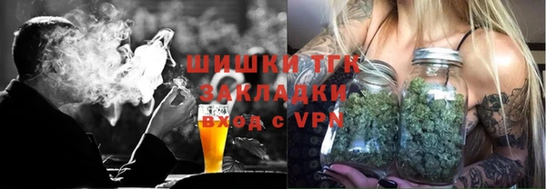 прущие грибы Аркадак