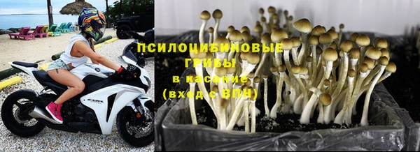 2c-b Балахна