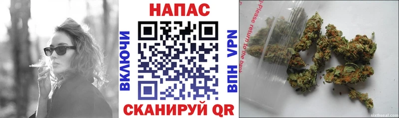 Бошки Шишки White Widow  Палласовка 